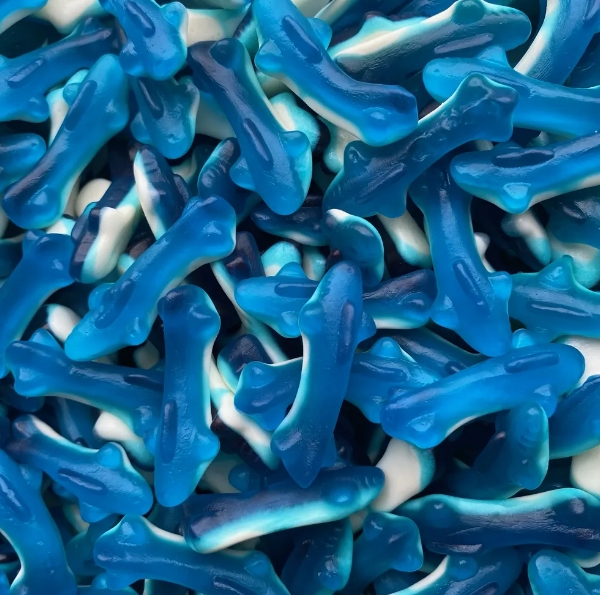 MENU OCEAN – Le Bar bleu parfait pour certaines thématiques sous l'océan – Image 9